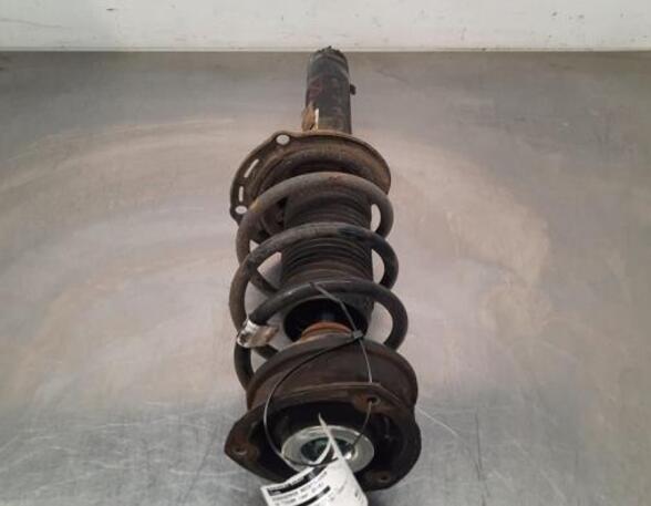 Shock Absorber VW TIGUAN (AD1, AX1), VW TIGUAN ALLSPACE (BW2)