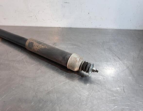 Shock Absorber NISSAN PULSAR Hatchback (C13)