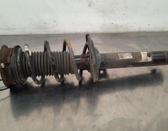 Shock Absorber VW T-ROC (A11, D11)