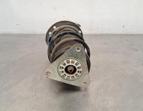 Shock Absorber RENAULT TWINGO III (BCM_, BCA_)