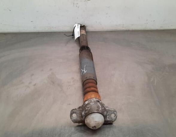 Shock Absorber AUDI A3 Limousine (8YS)