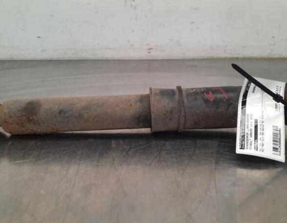 Shock Absorber RENAULT KANGOO Express (FW0/1_)