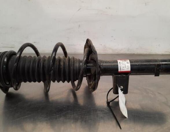 Shock Absorber NISSAN QASHQAI III (J12)