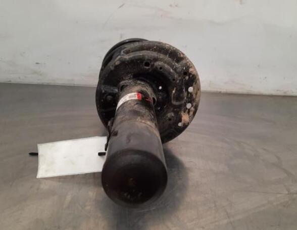 Shock Absorber NISSAN QASHQAI III (J12)