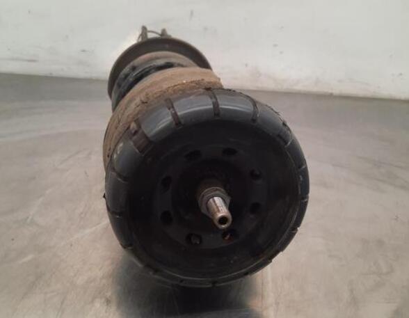 Shock Absorber RENAULT TRAFIC III Van (FG_)