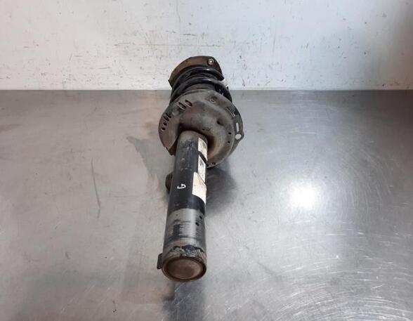 Shock Absorber VW GOLF VII (5G1, BQ1, BE1, BE2)