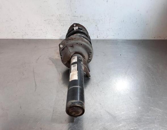 Shock Absorber VW GOLF VII (5G1, BQ1, BE1, BE2)