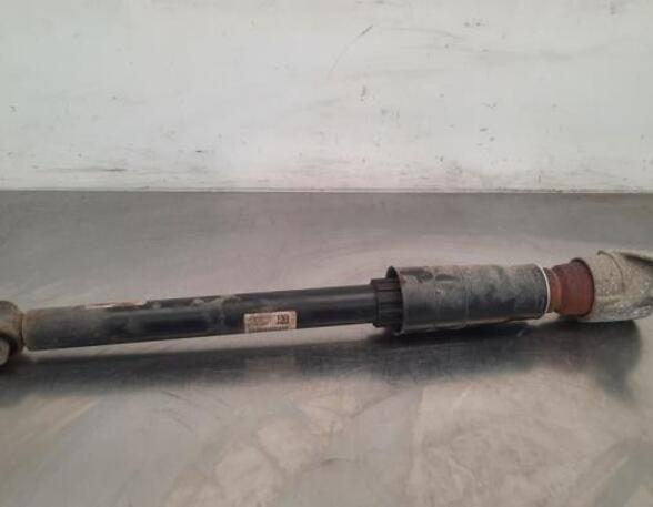 Shock Absorber AUDI A4 Avant (8W5, 8WD, B9)