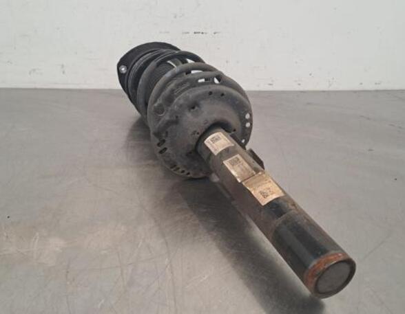 Shock Absorber VW GOLF VIII (CD1)