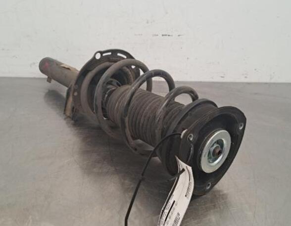 Shock Absorber VW GOLF VIII (CD1)