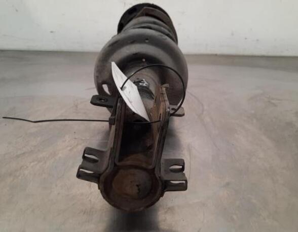 Shock Absorber RENAULT TRAFIC III Van (FG_)