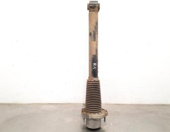 Shock Absorber LAND ROVER RANGE ROVER SPORT (L494)