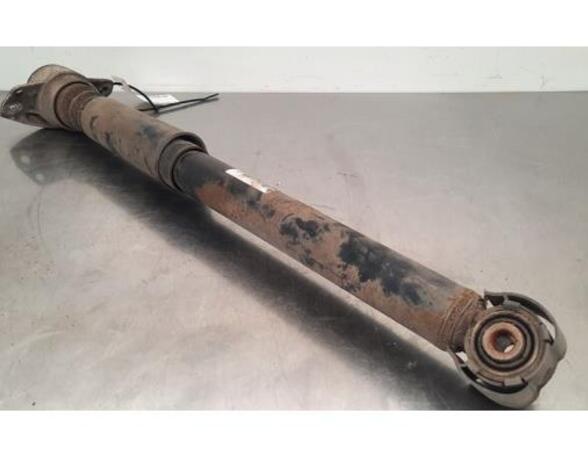 Shock Absorber AUDI A6 Avant (4G5, 4GD, C7)