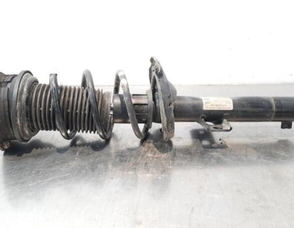 Shock Absorber VW POLO (AW1, BZ1), SEAT IBIZA V (KJ1, KJG)