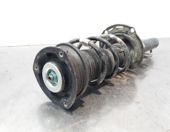 Shock Absorber VW POLO (AW1, BZ1), SEAT IBIZA V (KJ1, KJG)