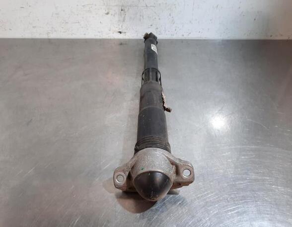 Shock Absorber SEAT TARRACO (KN2)