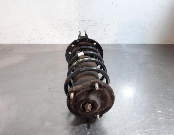 Shock Absorber FIAT FIORINO Box Body/MPV (225_), FIAT QUBO (225_), FIAT FIORINO MPV (225_)