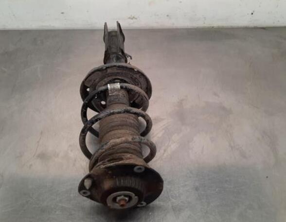 Shock Absorber OPEL ASTRA K Sports Tourer (B16), OPEL ASTRA K (B16)