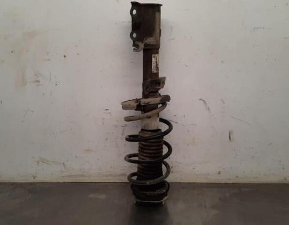 Shock Absorber FORD FIESTA VI (CB1, CCN)