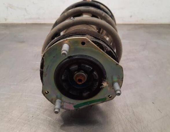 Shock Absorber FORD FIESTA VI (CB1, CCN)