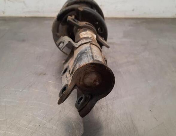 Shock Absorber FORD FIESTA VI (CB1, CCN)