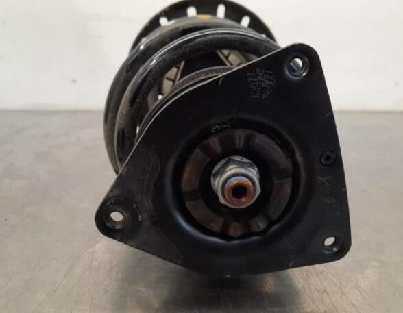 Shock Absorber OPEL CORSA F (P2JO)