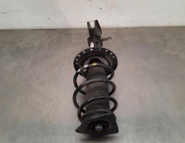 Shock Absorber OPEL CORSA F (P2JO)