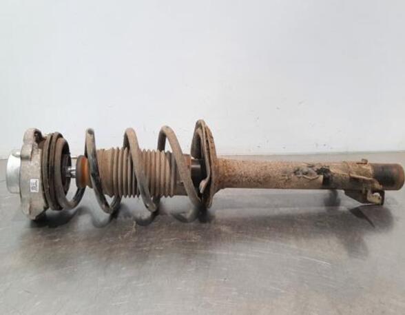 Shock Absorber FIAT DUCATO Van (250_, 290_)