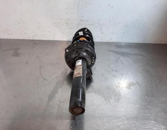 Shock Absorber VW TIGUAN (AD1, AX1), VW TIGUAN ALLSPACE (BW2)