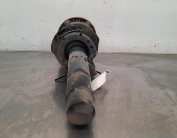 Shock Absorber BMW 1 (F20), BMW 2 Coupe (F22, F87)