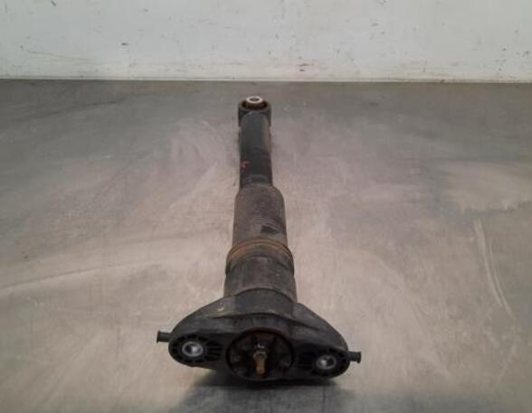 Shock Absorber OPEL CORSA F (P2JO), PEUGEOT 208 II (UB_, UP_, UW_, UJ_)