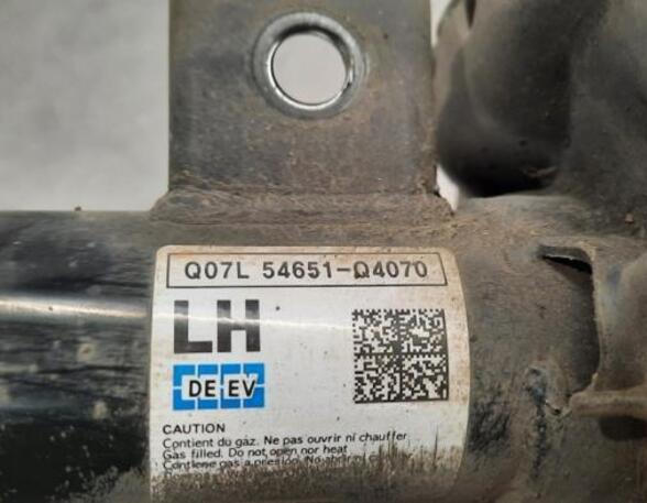 Shock Absorber KIA NIRO I (DE)