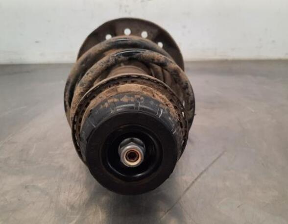 Shock Absorber RENAULT CLIO V (B7_)