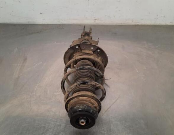 Shock Absorber RENAULT CLIO V (B7_)