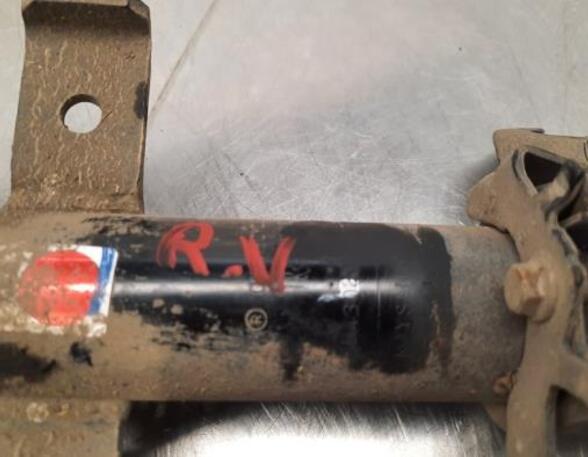 Shock Absorber RENAULT CLIO V (B7_)