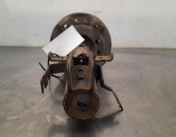 Shock Absorber RENAULT CLIO V (B7_)