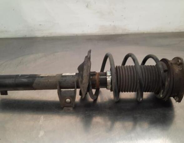 Shock Absorber SKODA OCTAVIA III Combi (5E5, 5E6)