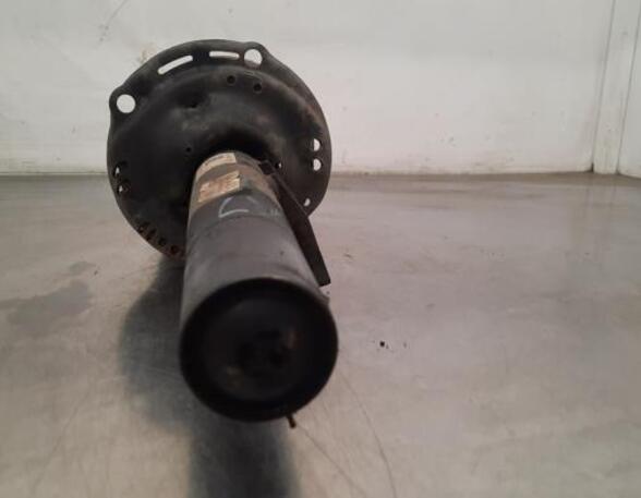 Shock Absorber SKODA OCTAVIA III Combi (5E5, 5E6)