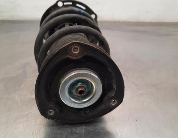 Shock Absorber SKODA OCTAVIA III Combi (5E5, 5E6)