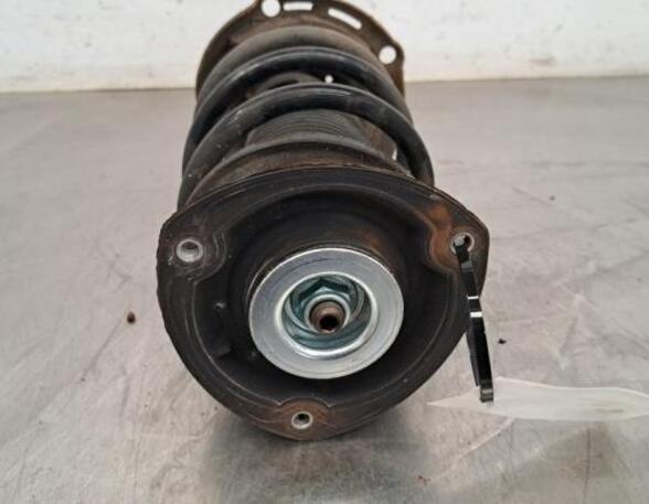 Shock Absorber VW GOLF VII (5G1, BQ1, BE1, BE2)