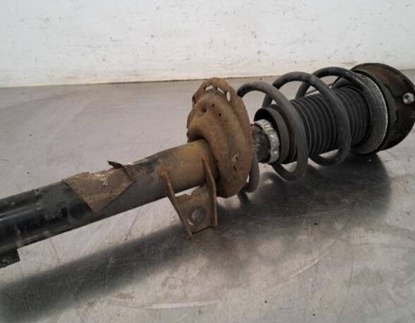 Shock Absorber VW GOLF VII (5G1, BQ1, BE1, BE2)