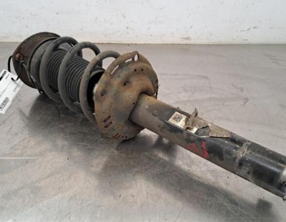 Shock Absorber VW GOLF VII (5G1, BQ1, BE1, BE2)