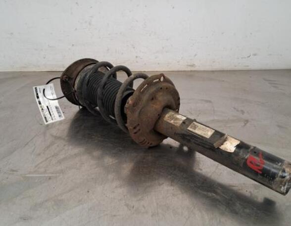 Shock Absorber VW GOLF VII (5G1, BQ1, BE1, BE2)