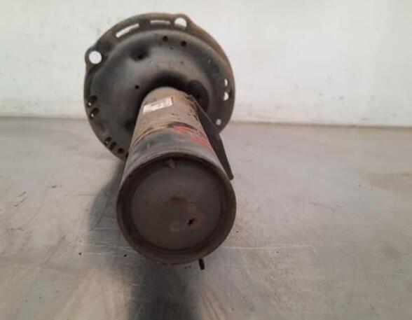 Shock Absorber AUDI A3 Limousine (8YS)