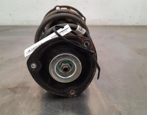 Shock Absorber AUDI A3 Limousine (8YS)