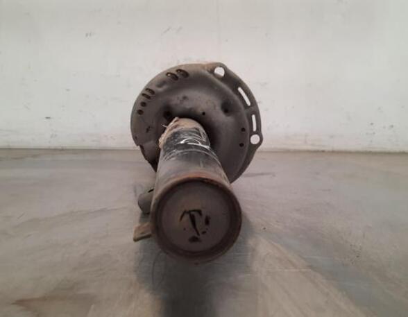 Shock Absorber AUDI A3 Limousine (8YS)