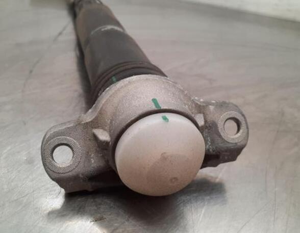 Shock Absorber VW T-CROSS (C11_)