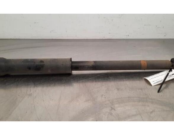 Shock Absorber RENAULT CAPTUR II (HF_)