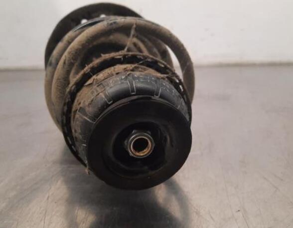 Shock Absorber RENAULT CLIO V (B7_)