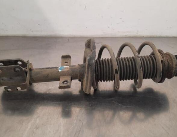 Shock Absorber RENAULT CLIO V (B7_)